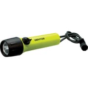 フラッシュライト SR-220DT