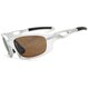 ARC-6175-21 [スポーツサングラス レンズカラー：Brown/Flash Mirror フレームカラー：Shiny Metallic Silver]