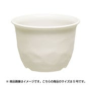 5号 アイボリー ノーミィローポット