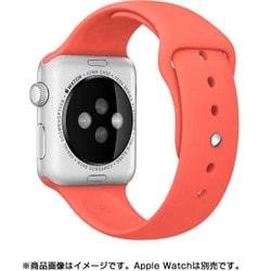 ヨドバシ.com - アップル Apple Apple Watch 42mmケース用