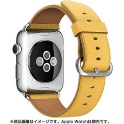AppleWatch Case - Classic ゴールド 時計-