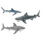 41448 サメセット [WILD LIFE]