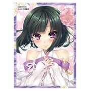 NEXTON ガールズスリーブコレクション Vol.055 戦国恋姫 双葉 [トレーディングカード用品 60枚入]