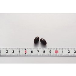 ヨドバシ.com - 小林製薬 ナットウキナーゼEX 約30日分（60粒