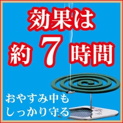 ヨドバシ.com - 金鳥 KINCHO 金鳥の渦巻 ハエにも効く太巻 10巻 通販