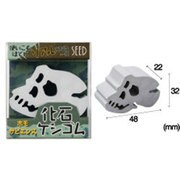 化石ケシゴム ホモサピエンス 1507C