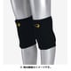 KD013LBK [ローキックサポーターサイドガード 1組 Lサイズ ブラック]