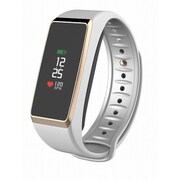 KRZEFIT2PULSE WHITE/GOLD