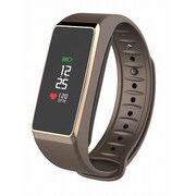 KRZEFIT2PULSE BROWN/GOLD
