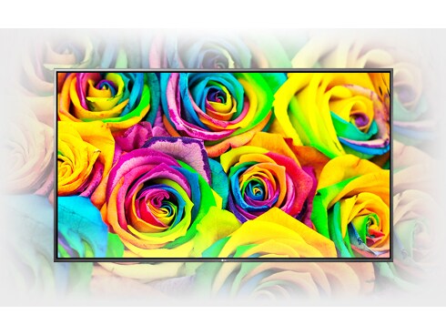 ヨドバシ.com - LGエレクトロニクス 4K対応 43V型液晶テレビ