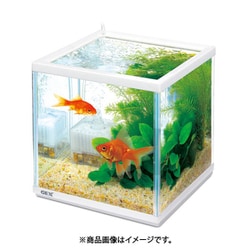 ヨドバシ Com Gex ジェックス 金魚元気キューブセット0 ガラス水槽セット 通販 全品無料配達
