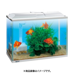 【スターターセット】アクアリウム　水槽セット 楽天市場】LEDライト付き ミニ水槽 水槽セット アクアリウム 魚