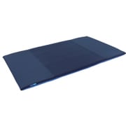 高反発マットレス キュービックボディプレミアム セミダブルサイズ（120×197×4.5cm） 表地・中材/ポリエステル100％ 6.8kg [PT-200]