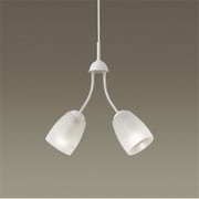 直付吊下型 LED(電球色) シャンデリア 50形電球 2灯器具相当 LGB19204K