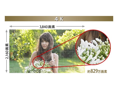 ヨドバシ.com - パナソニック Panasonic VIERA(ビエラ) 55V型 ヨドバシ.com - パナソニック Panasonic VIERA(ビエラ) 55V型
