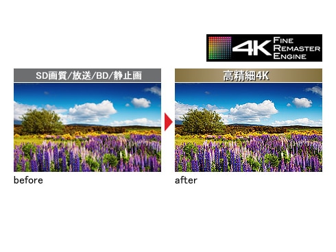 ヨドバシ.com - パナソニック Panasonic VIERA（ビエラ） 49V型