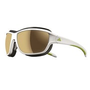 a393 01 6052 terrex TM fast [スポーツサングラス]