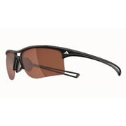 a404 01 6059 raylor L polarized [スポーツサングラス シャイニーブラック 偏光レンズ]
