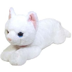 P-1832 ひざねこ オッドアイ WH