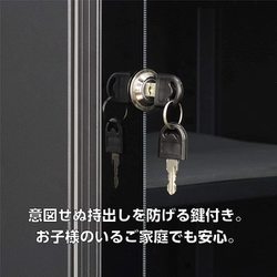 ヨドバシ.com - ハクバ HAKUBA KED-25 [電子防湿保管庫 E-ドライ