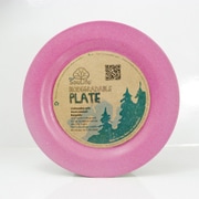 Large Dinner Plate Pink