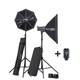 スタジオストロボシステム D-LITE RX 4/4 Softbox To Go 20839.2