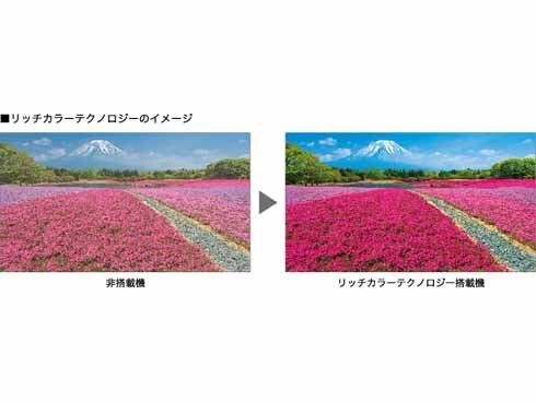 ヨドバシ.com - シャープ SHARP AQUOS(アクオス) 50V型 地上 ヨドバシ.com - シャープ SHARP AQUOS(アクオス) 50V型 地上