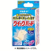 除菌済 デルガード クイックパッド ふつうサイズ 10枚入