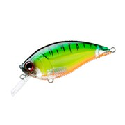 R1105-PFT [3DB スクエアリップ シャロー 70mm PFT]