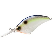 R1147-SSH [3DB フラットクランク 70mm SSH]
