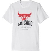 BCE05-AH5060-J/M [NBA Basic Tシャツ メンズ Mサイズ]