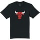 ICD17-S29933-J/M [NBA ファンウェア Tシャツ]
