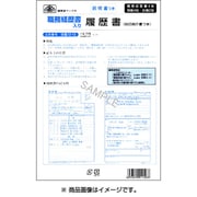 職務経歴書入り履歴書 労務 12-13