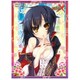 ガールズスリーブコレクション Vol.059 戦国†恋姫X 久遠 [トレーディングカード用品]