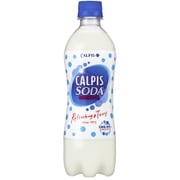 カルピスソーダ PET 500ml×24本 [炭酸飲料]