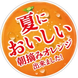 ヨドバシ Com サントリーフーズ 南アルプス 朝摘みオレンジ 南アルプスの天然水 540ml Pet 24本 清涼飲料水 通販 全品無料配達