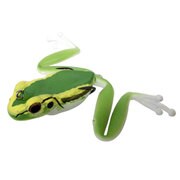 ベイビー・ダイビング・カハラ・フロッグ #04アマガエル [BABY DIVING KAHARA FROG]