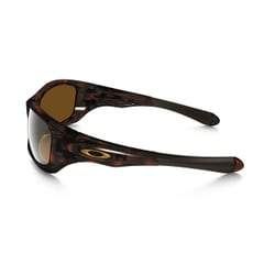 OAKLEY PITBULL ブラウンデミ OO9161-01 サングラス Pit Bull オークリー サングラス 国内正規品 アジアンフィット