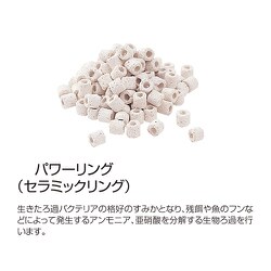 ヨドバシ Com コトブキ工芸 Kotobuki パワーリング 100用 通販 全品無料配達