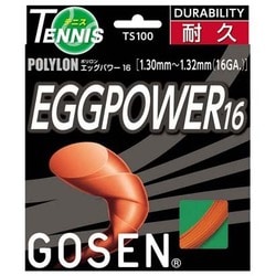 ヨドバシ.com - GOSEN ゴーセン エッグパワー16 TS100OR オレンジ [硬式テニス ストリング ガット] 通販【全品無料配達】