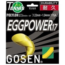 エッグパワー17 TS101Y イエロー [硬式テニス ストリング ガット]