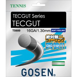 テックガット 16 TS600W ホワイト [硬式テニス ストリング ガット]
