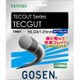 TECGUT 16L TS601WH ホワイト [硬式テニス ストリング ガット]