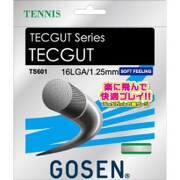 TECGUT 16L TS601WH ホワイト [硬式テニス ストリング ガット]