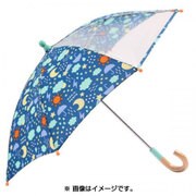 キッズ 長傘 窓付き傘 45cm お天気 83079