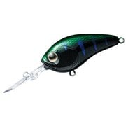 スティーズクランク200-S モンスターギル