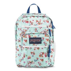 ヨドバシ.com - JANSPORT ジャンスポーツ TDN70DU [バックパック BIG