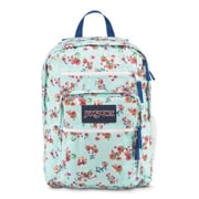 TDN70DU [バックパック BIG STUDENT（ビッグステューデント） MULTI PAINTED DITZY]