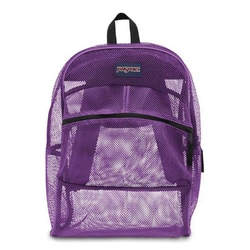 JANSPORT メッシュ　リュック　mesh backpack