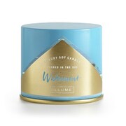 デミバニティティンキャンドル WATERMINT